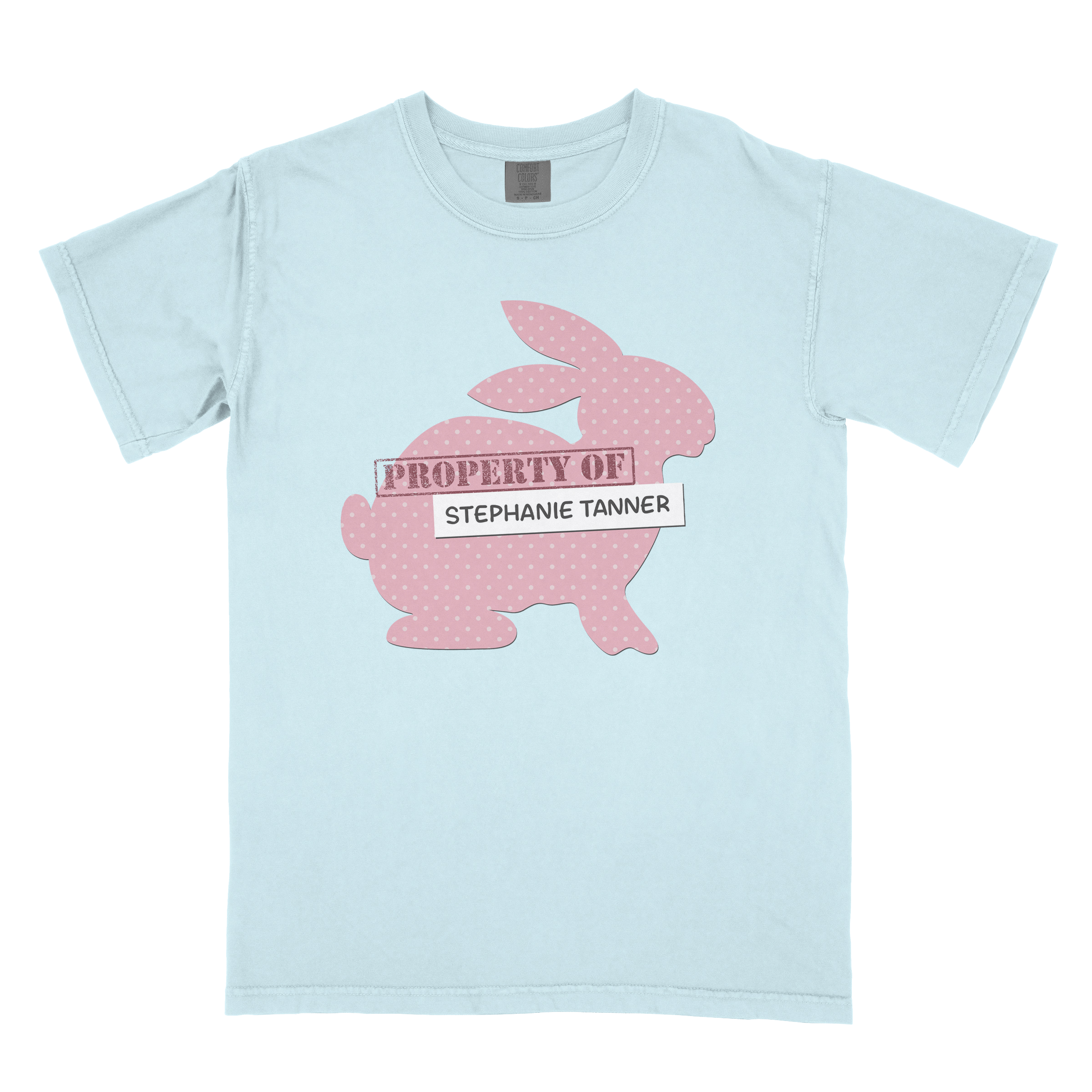 Pink Rude Rabbit PINK BUNNY - CHAMBRAY – How Rude Merch